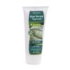PLAMECA Massage Lotion Pack of 1 (1 x 200 ml)