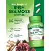 Irish Sea Moss Capsules | 90 Count | Bladderwrack & Burdock| by Nature's Truth