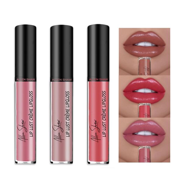 Lipstick with Creamy Texture, Pack of 3 Waterproof Lip Gloss, Long Lasting Charm, Smooth Shimmer Texture, Lip Gloss 24 Hours Hold