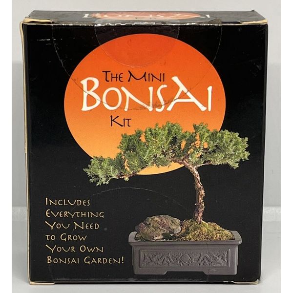 The Mini Bonsai Tree Growing Kit