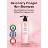 A’PIEU Raspberry Vinegar Hair Shampoo 16.9 fl.oz / 500 ml -Dandruff
