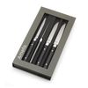 Amefa Fusion Steakmesser-Set, 4-teilig