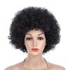 Bomber Afro Wig, Unisex, Cosplay, Costume Accessory, Party, Halloween Costume, Clown Wig (Black)
