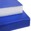 BEEMAT Gymnastic Mat [SELECT YOUR SIZE] (6ft x 4ft x 1inch (Lightweight))
