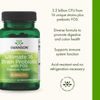 Swanson Probiotic with Prebiotic FOS Dr. Stephen Langer's Formula Digestive