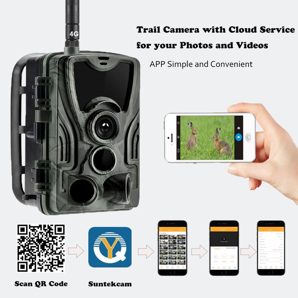 free live wildlife cameras