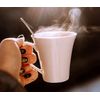 Crave Beverages Southern Pecan Flavored Coffee Pods,Compatibl