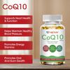 CoQ10 Capsules | Heart Function Support & Antioxidant Cellular Energy Boost US