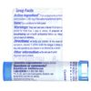 BOIRON Causticum 6 C, 80 CT