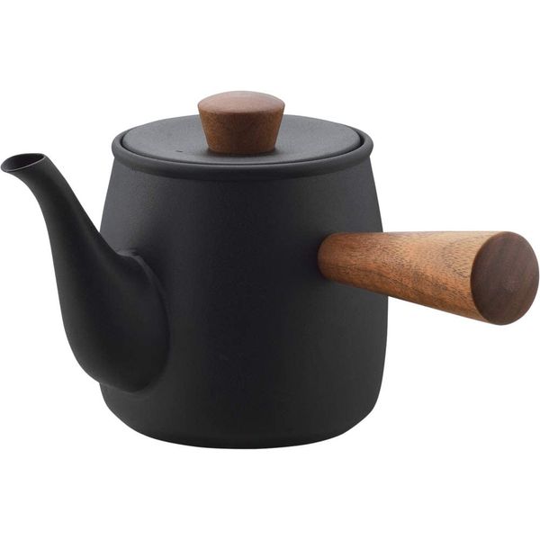 Miyazaki Seisakusho CHA-3 Teapot with Tea Strainer, No Direct Fire, 0.38 L (0.38 L)