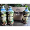 LIFESTYLES INTRA TRIO JUICE - 3 bottles