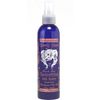 Gnarly Head Biodegradable Beach Hair Texturizing Salt Spray Vegan Friendly