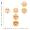 est Main Body Foundation Pink Ochre 03 9G