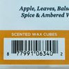 Crisp Fall Leaves Scented Wax Melts Cubes 5 oz 2 Pack Value Pack