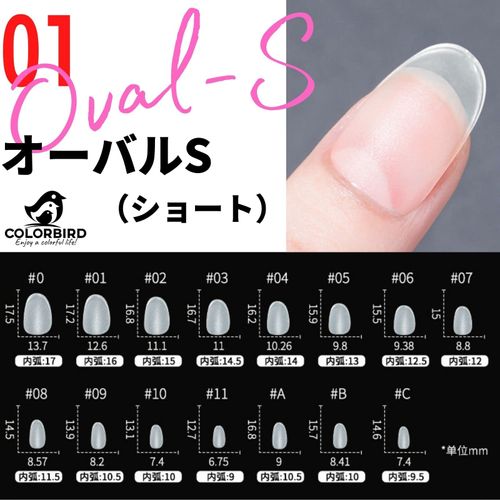 COLORBIRD Nail Tips, Ultra Thin, Short, Clear, 300 Pieces, Summer Sanding, Natural Fit, False Nails (Oval)