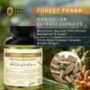 Forest Prana Pine Pollen Extract Capsules – 50:1 Extract – 120 Count Bottle