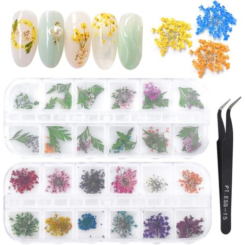 Pinsheng 2 scatole fiori secchi nail art, 24 colori Kit di accessori per 3D nail art Piccoli fiori secchi naturali veri Set di foglie verdi per decorazioni di design per unghie con pinzette curve