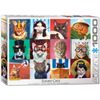 Funny Cats by Lucia Heffernan
