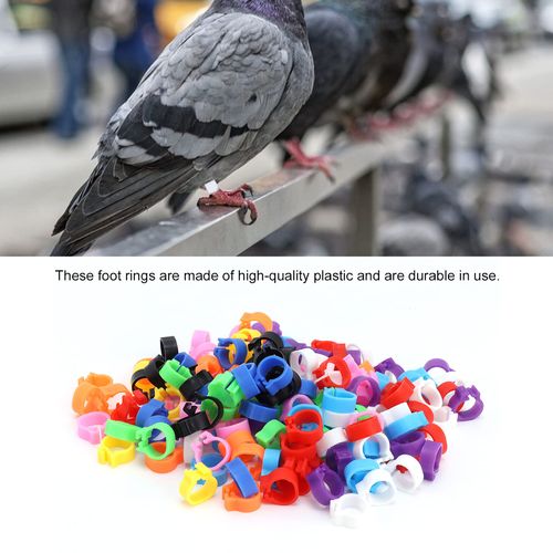 200PCS Pigeons Leg Rings Lightweight Compact Foot Bands Colorful Chicken Ankle Clips for Easy Identification