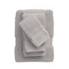 Legends Sterling Light Gray Solid Supima Cotton Wash Cloth (Set of 2)