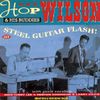 STEEL GUITAR FLASH! PLUS