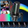 Professional Gaming RGB USB Condenser Microphone, PC/PS5/Streaming/Podcast/Video
