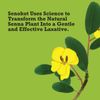 Senokot Regular Strength Laxative Tablets 100 Count Overnight Relief Constipa...