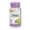 Tribulus Fruit Extract 60 Caps 450 mg by Solaray