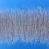 Ep Sparkle Brush 3" Wide Uv Holographic Silver