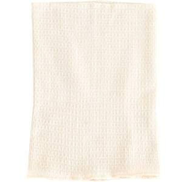 Made In Earth Belly Screwed 100% Organic Cotton , , ,
