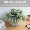 Geometric Embossed Concrete Planter - Artificial Potted Eucalyptus Boxwood Plant