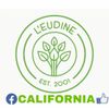 Leudine Herbal 35 Dolor De Cabeza  Migraña