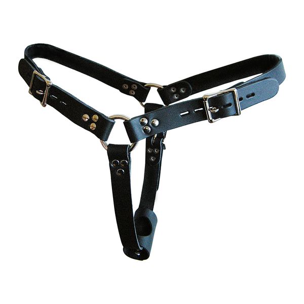Locking Female Butt Plug Harness