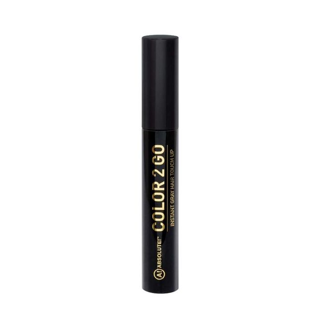 Color 2 Go - Hair Mascara HM-00 Jet Black