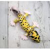 takeoff magnet leopard lizard