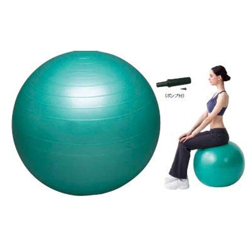 Balance Ball Diameter 25.6 inches (65 cm)