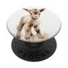 Cute Baby Goat PopSockets Standard PopGrip