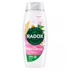 Radox Shower Gel Moisturise 450ml