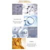 MSECVOI Collagen Lip Booster Plumping Serum Repair Lip Line Anti-Wrinkle Plump Enhancer Essence Hyaluronic Moisturizing Lip Treatment