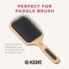 Kent AirHedz Mega Phine Taming Brush