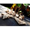 Bamloff WooBot - Wooden Robot Transforms into a Helicopter