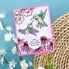 Spellbinders Hummingbird Day, Photopolymer, ONE