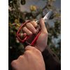 CHIKAMASA professional horticultural pine needles scissors T-710GDX (japan import)