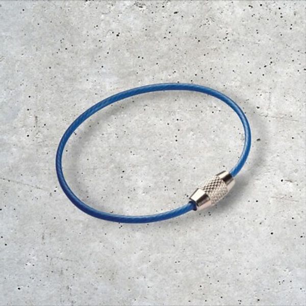Hillman 2 in.   D Metal Assorted Split Rings/Cable Rings Key Ring