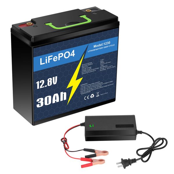 12V 30Ah LiFePO4 Deep Cycle Lithium Battery with Charger for Trolling Motor