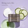 EXUVIANCE Gentle Daily Exfoliating Face Pads with PHA, Vitamin C and E Antioxidants, Green Tea and Cucumber Extracts, 60 pads