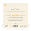 D'Addario EJ81 Irish Bouzouki Strings