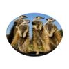 Meerkat | Suricate a Small Desert Carnivor | Phone Accessory PopSockets Swappable PopGrip