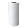 Pentek PENTEK-CRFC-BB Chloramine Reduction Water Filter