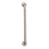 Grab Rail Stainless Steel Brushed 30.5 cm/12inch